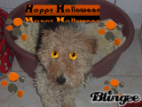 tyco halloween
