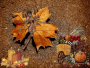 autunno