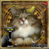 	 Halloween with my Siberian cat :-)