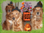 Halloween 2009
