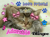 Gattino (Original blingee by Candy-Princess-1998)