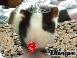 QUT QWEEN