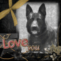 TYSON...I LUV U !!!