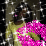 josiane77