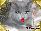 il gatto truccato