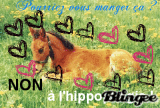 NON à l'hippophagie !