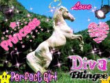 lili diva