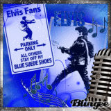 Blue Suede Shoes ~ PL