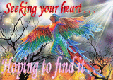 Seeking your heart