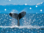 whale 