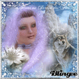 concour surprise L'HIVER AU JARDIN DES FEES concour surprise L'HIVER AU JARDIN DES FEES