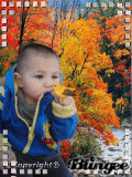 mi bebe