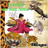 JE VEILLE SUR MES AMIS