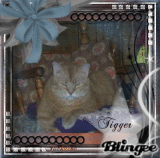 MY TIGGER