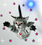 Whats terrible wrong with this kitten.