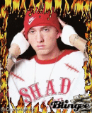 slim shaddy