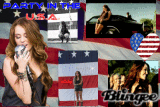 party in the usa1