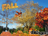 fall