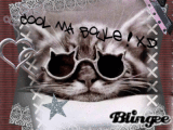 cool !!!!lol