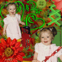 Sabrina red and green scrap