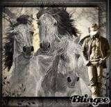 chevaux