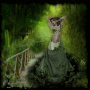 Forbidden Forest Fantasy Forbidden Forest Fantasy