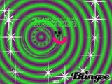 GREEN PURPLE