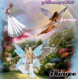 le vol d'angel
