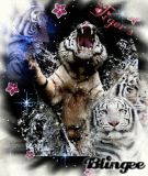 Tigers