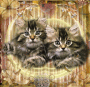 fluffy babies