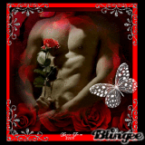 A Rose for you my Love