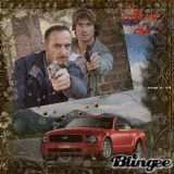 alarm für cobra 11