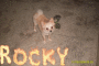 Rocky
