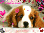 cucciolo triste