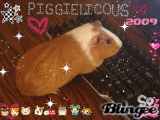 Piggielicous