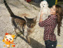 my pet