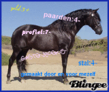 voor een profiel voor een profiel