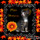 Happy Thanksgiving