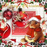 bunny christmas