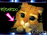 RICARDO