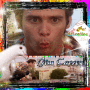 Jim Carrey*4 (Pet detective)