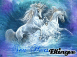 Sea horses