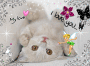 The White Cat