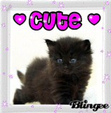 cute