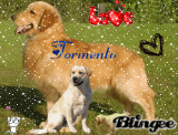 Tormento