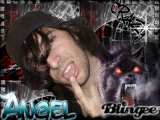 Wild Angel Wild Angel