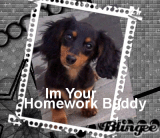 Bethanys Homework Buddy!!