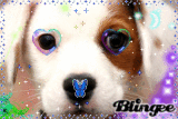 puppy dog 