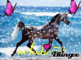 MELODIE54