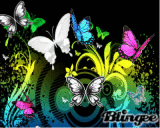 Butterflies